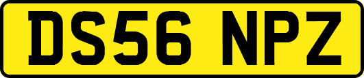 DS56NPZ