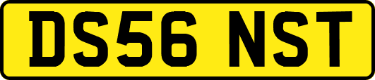 DS56NST