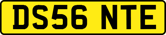 DS56NTE