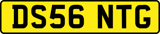 DS56NTG