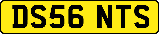 DS56NTS
