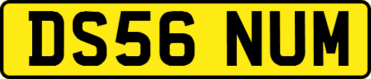 DS56NUM