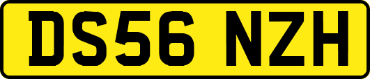 DS56NZH