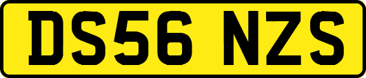 DS56NZS
