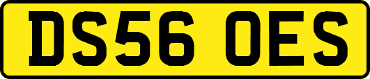DS56OES