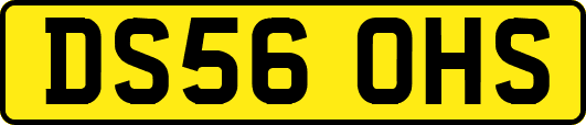DS56OHS