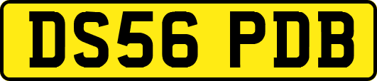 DS56PDB