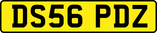 DS56PDZ