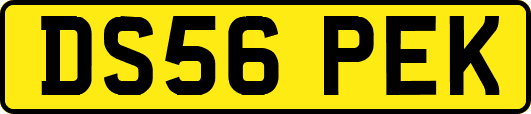 DS56PEK