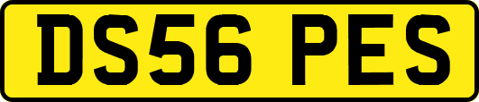 DS56PES