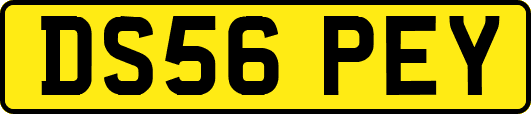 DS56PEY
