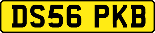 DS56PKB