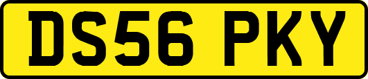 DS56PKY