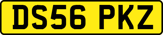 DS56PKZ