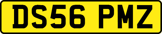 DS56PMZ