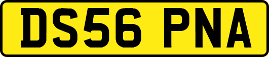 DS56PNA