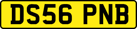 DS56PNB