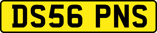 DS56PNS
