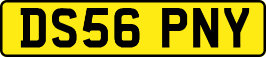 DS56PNY
