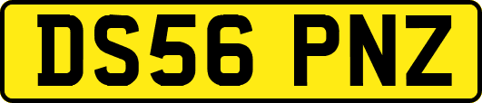 DS56PNZ