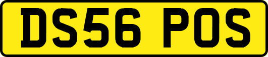 DS56POS