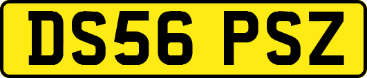 DS56PSZ