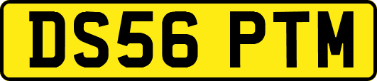 DS56PTM