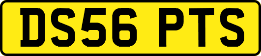 DS56PTS