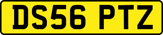 DS56PTZ