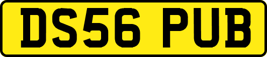 DS56PUB