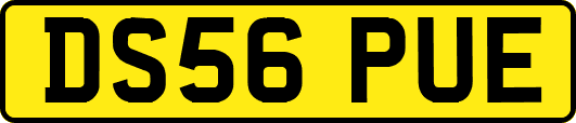 DS56PUE