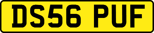 DS56PUF