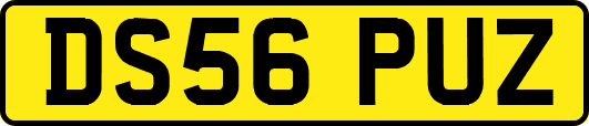 DS56PUZ