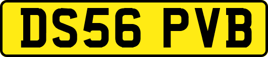 DS56PVB