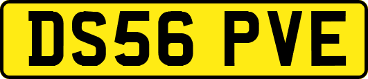 DS56PVE