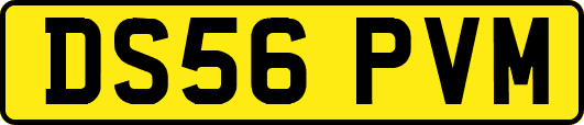 DS56PVM