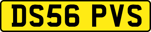 DS56PVS