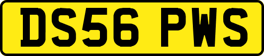 DS56PWS