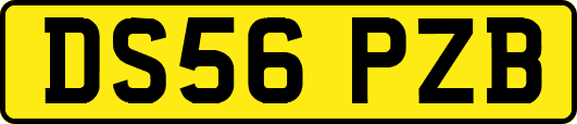 DS56PZB