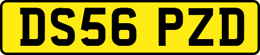 DS56PZD