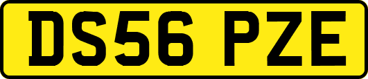 DS56PZE