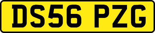 DS56PZG