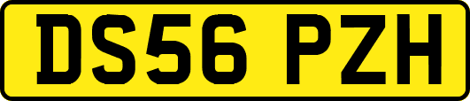 DS56PZH