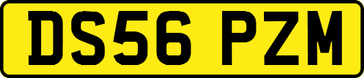 DS56PZM