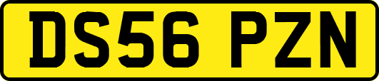 DS56PZN