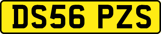 DS56PZS