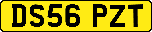 DS56PZT