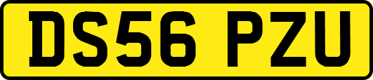 DS56PZU