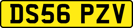 DS56PZV