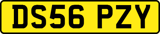 DS56PZY